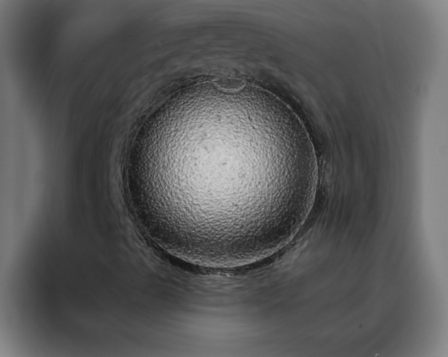 X0000088181489200705221631