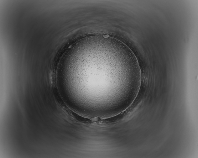 X0000088181490200705221631