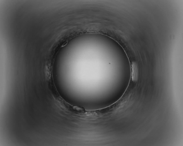 X0000088181491200705221631