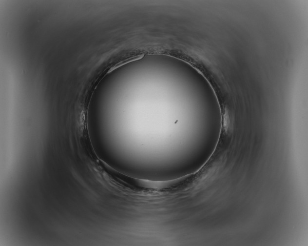 X0000088181492200705221631