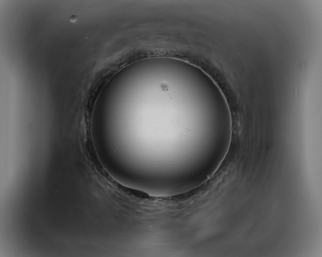 X0000088181493200705221631
