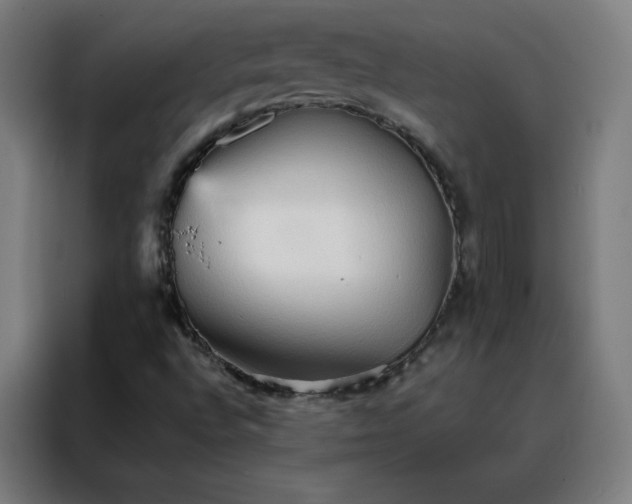 X0000088181496200705221631