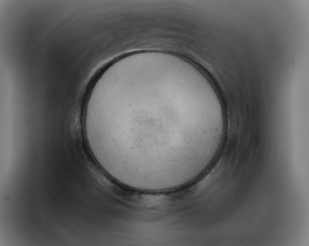 X0000088181498200705221631