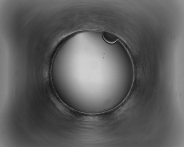 X0000088181499200705221631