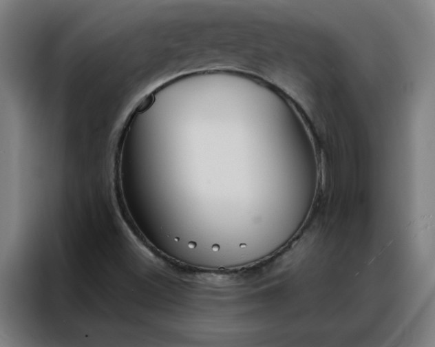 X0000088181500200705221631