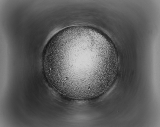 X0000088181501200705221631