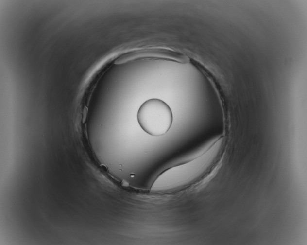 X0000088181502200705221631