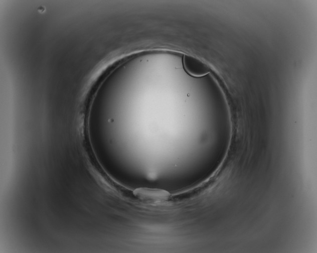 X0000088181503200705221631