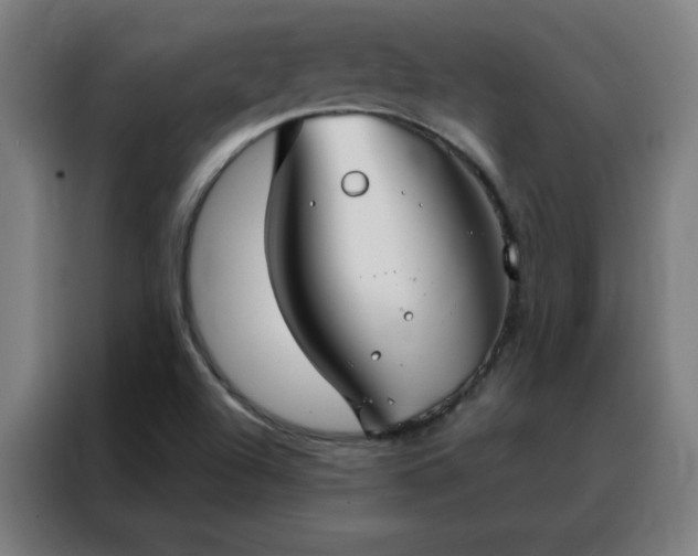 X0000088181504200705221631