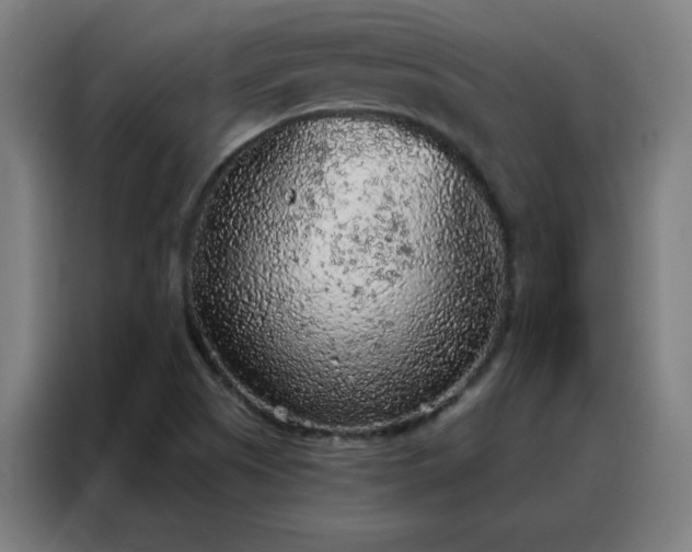 X0000088181505200705221631