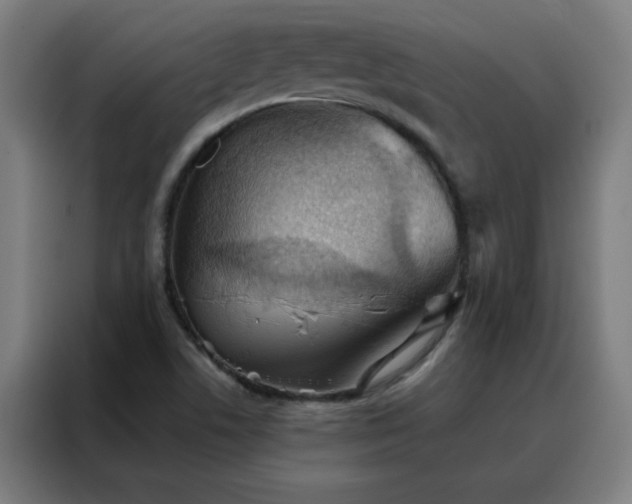 X0000088181506200705221631