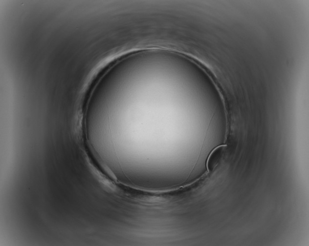 X0000088181507200705221632