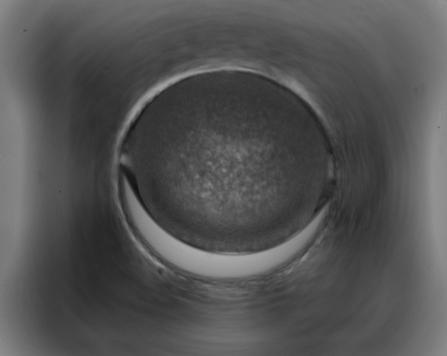 X0000088181508200705221632