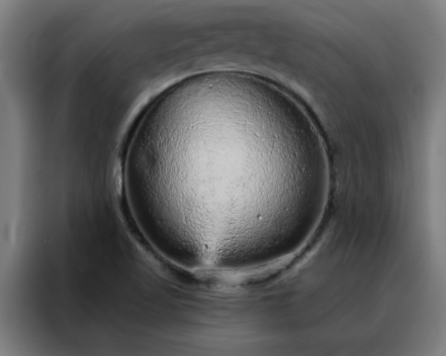 X0000088181509200705221632