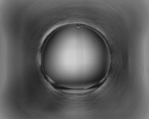 X0000088181510200705221632