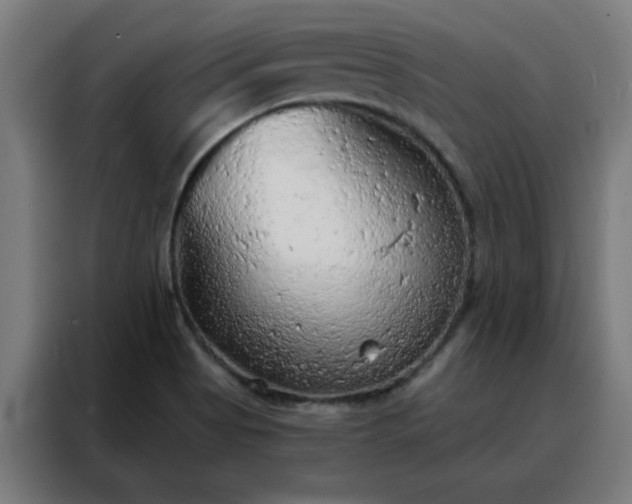 X0000088181513200705221632