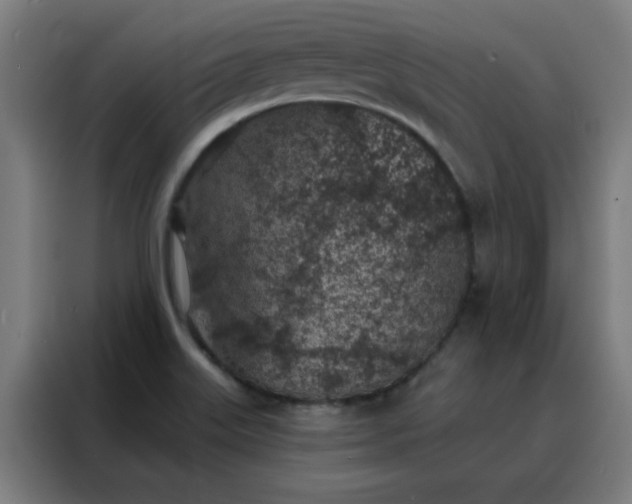 X0000088181515200705221632