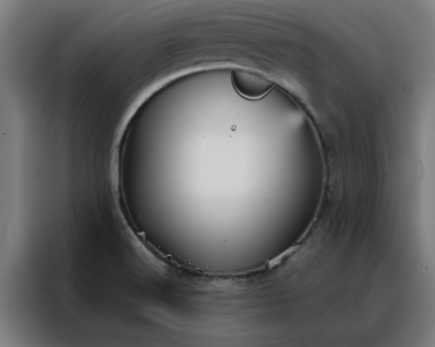 X0000088181516200705221632