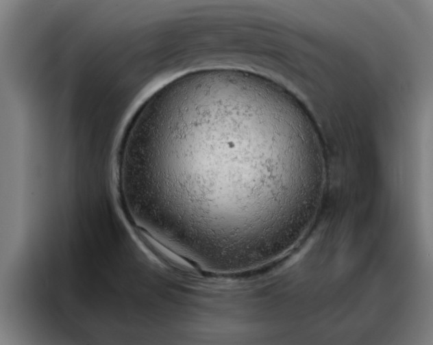X0000088181517200705221632