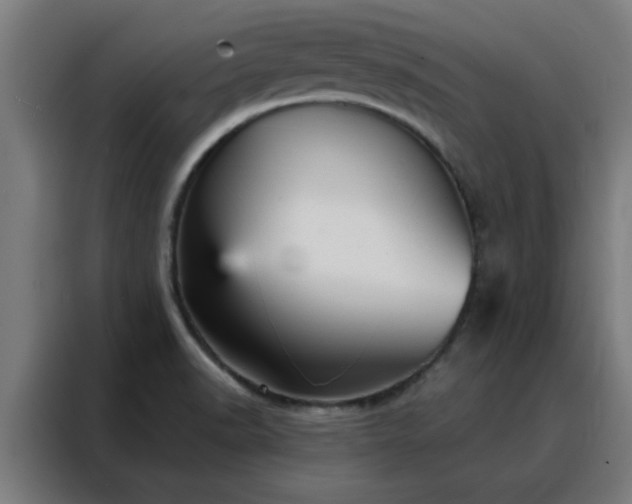 X0000088181518200705221632