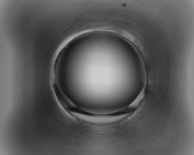 X0000088181520200705221632