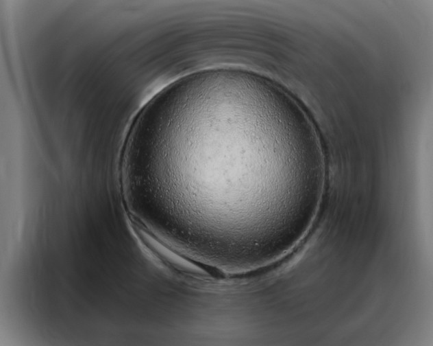 X0000088181521200705221632