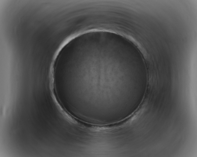 X0000088181522200705221632