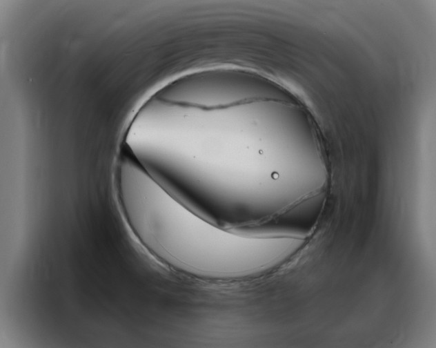 X0000088181524200705221632