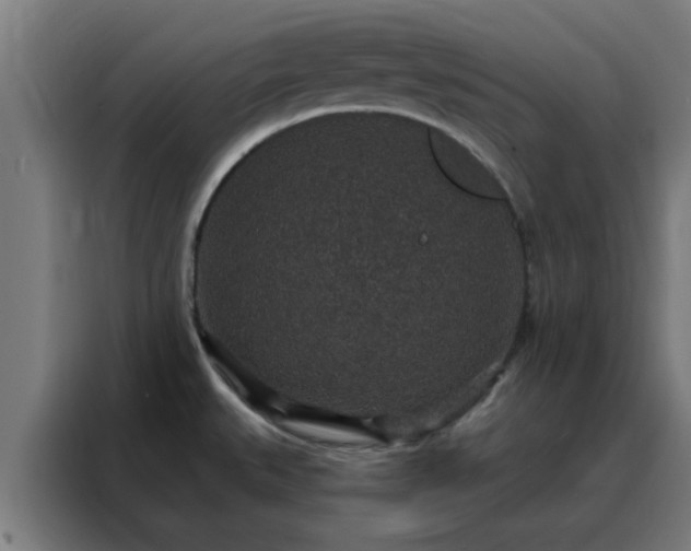 X0000088181527200705221632