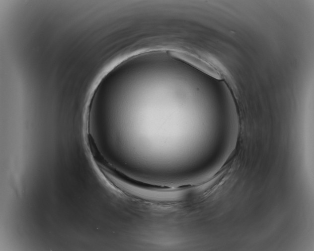 X0000088181528200705221632