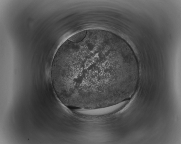 X0000088181529200705221632