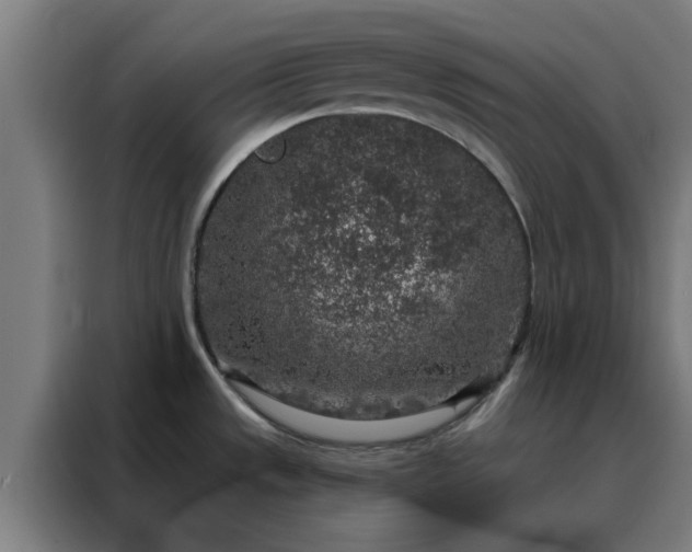 X0000088181533200705221632