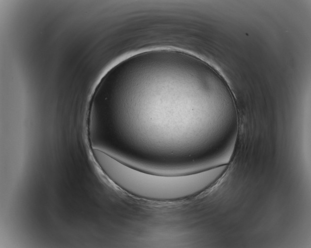 X0000088181534200705221632