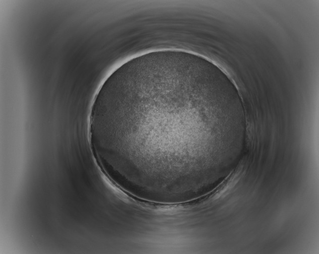 X0000088181535200705221632