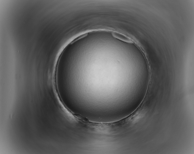 X0000088181536200705221632
