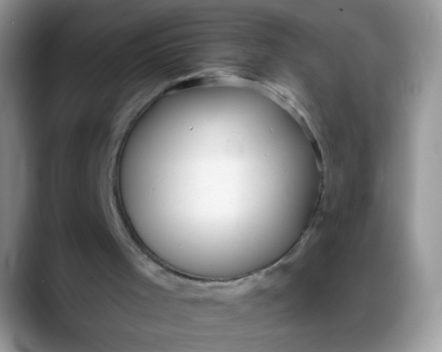 X0000088180001200705292001