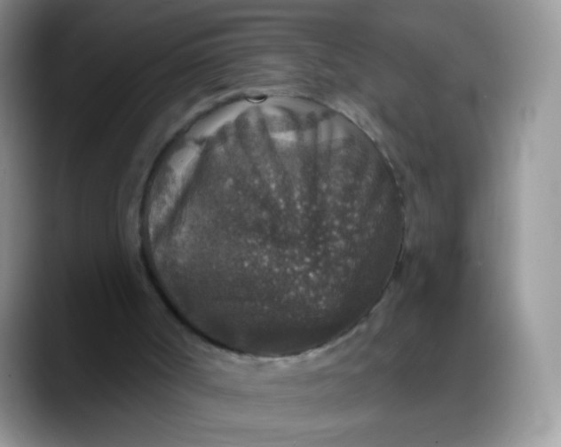 X0000088180002200705292001