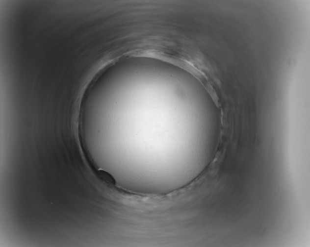 X0000088180003200705292001