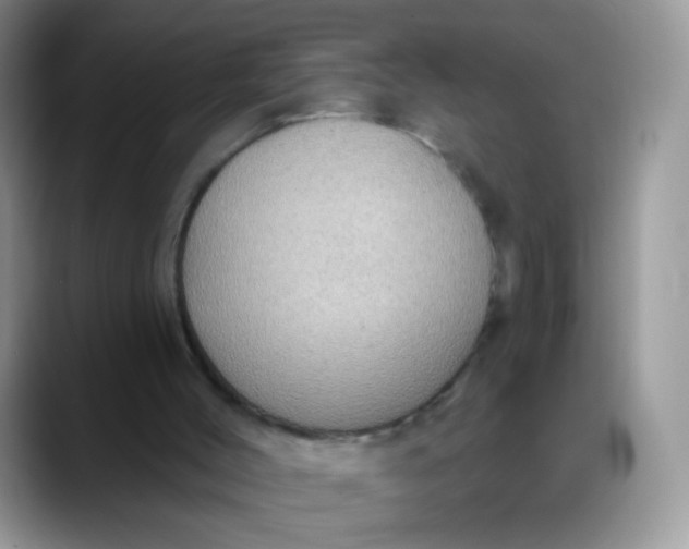 X0000088180004200705292001