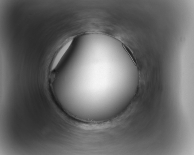 X0000088180005200705292001