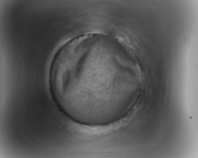 X0000088180006200705292001