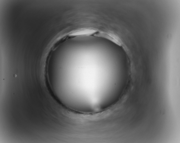 X0000088180007200705292001