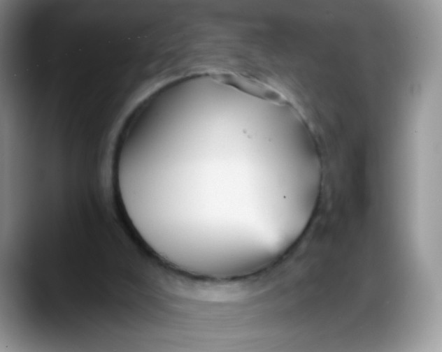 X0000088180008200705292001