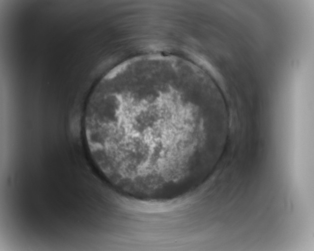 X0000088180010200705292001