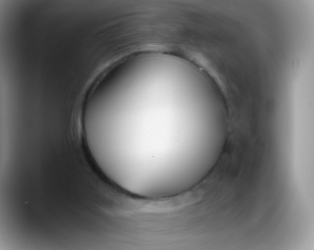 X0000088180011200705292001