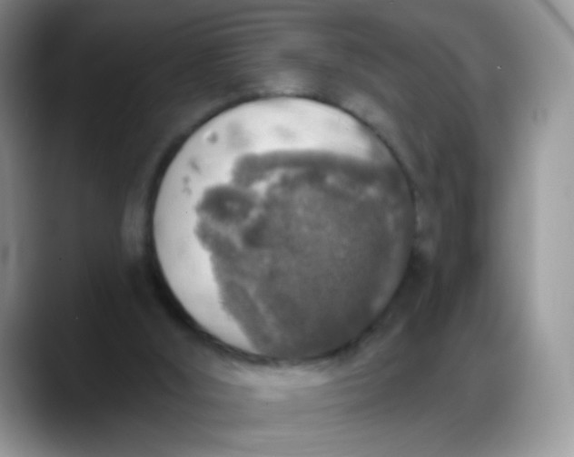 X0000088180012200705292001