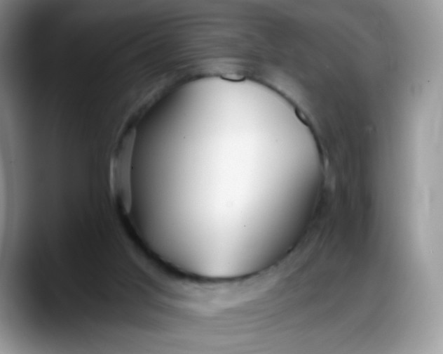 X0000088180013200705292001