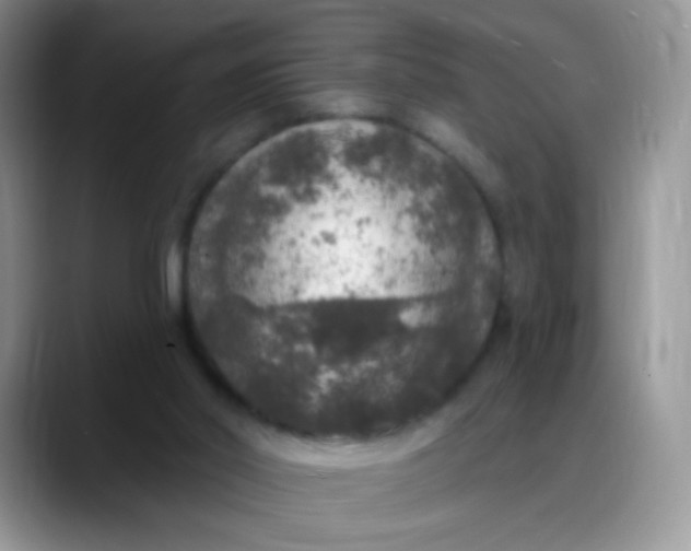 X0000088180014200705292001