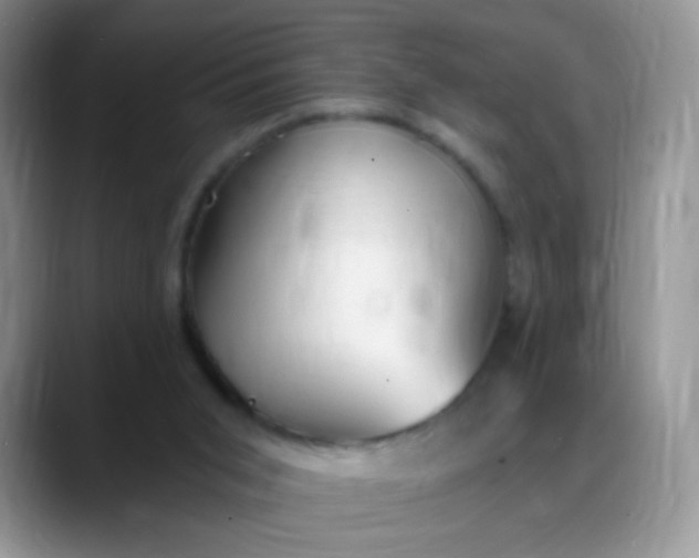 X0000088180015200705292001