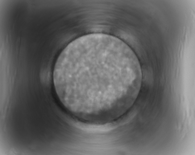 X0000088180016200705292001